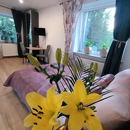 Apartment Royal Evitabocelli Spodek By Walk *
