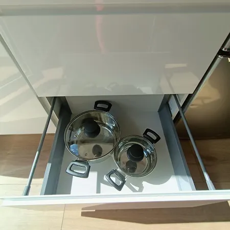 公寓 Royal Evitabocelli Spodek By Walk 卡托维兹