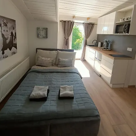 Royal Evitabocelli Spodek By Walk 公寓 卡托维兹