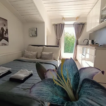 Royal Evitabocelli Spodek By Walk *