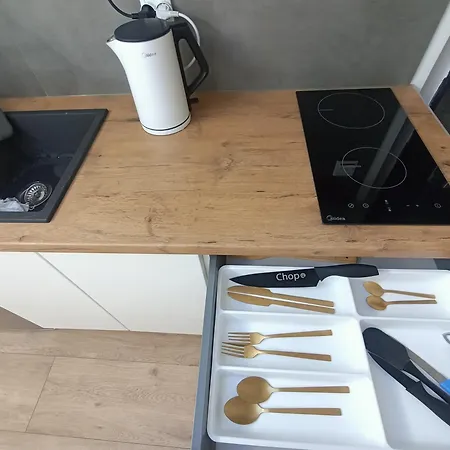 Apartment Royal Evitabocelli Spodek By Walk Self Check - In Katowice