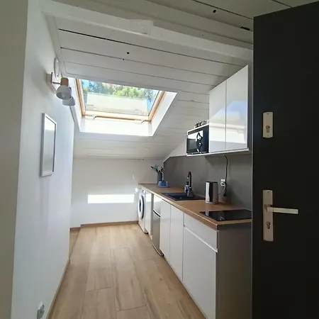 公寓 Royal Evitabocelli Spodek By Walk 卡托维兹