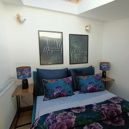 Royal Evitabocelli Spodek By Walk 卡托维兹