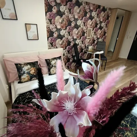 Royal Evitabocelli Spodek By Walk 公寓 卡托维兹