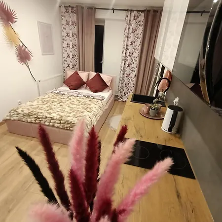 Royal Evitabocelli Spodek By Walk