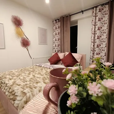 Royal Evitabocelli Spodek By Walk 公寓 *