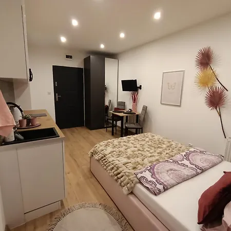 Royal Evitabocelli Spodek By Walk Self Check - In Apartmán