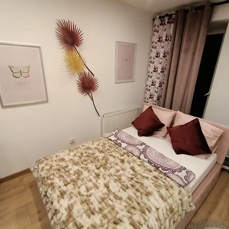 公寓 Royal Evitabocelli Spodek By Walk 卡托维兹