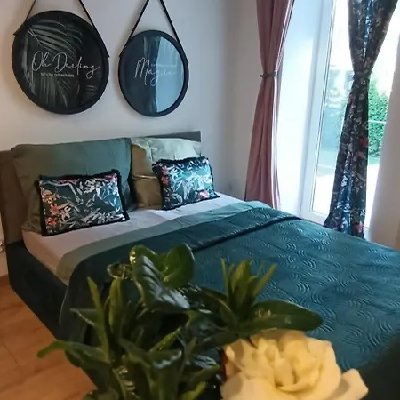 Royal Evitabocelli Spodek By Walk * 卡托维兹