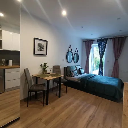 公寓 Royal Evitabocelli Spodek By Walk 卡托维兹