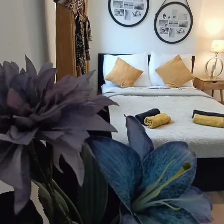 Royal Evitabocelli Spodek By Walk