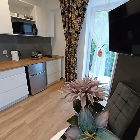 Royal Evitabocelli Spodek By Walk Self Check - In Apartmán Katovice
