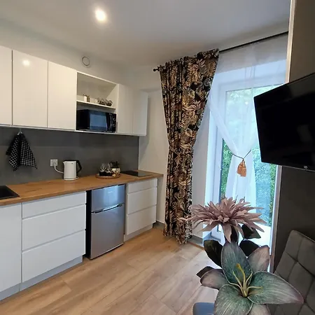 公寓 Royal Evitabocelli Spodek By Walk 卡托维兹