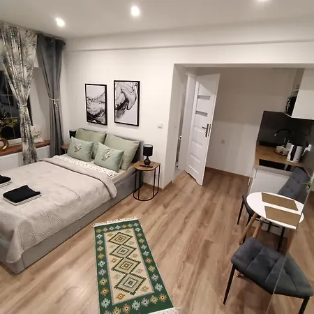 公寓 Royal Evitabocelli Spodek By Walk 卡托维兹