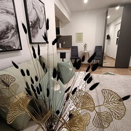 Royal Evitabocelli Spodek By Walk 公寓