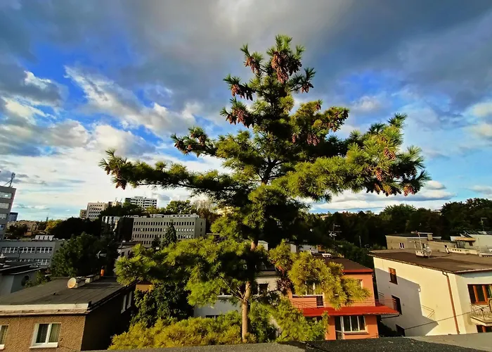 Apartment Royal Evitabocelli Spodek By Walk *