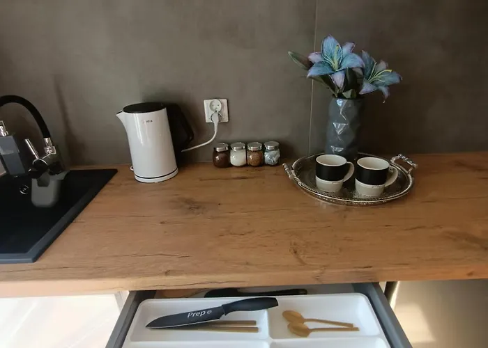 Royal Evitabocelli Spodek By Walk *