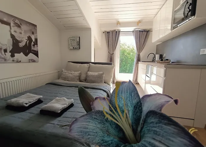 Royal Evitabocelli Spodek By Walk *