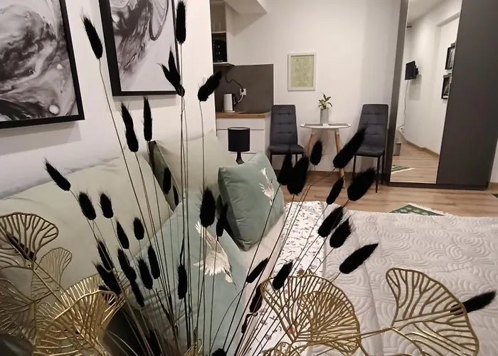 Royal Evitabocelli Spodek By Walk Apartment